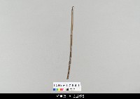 藏品(中國湖北皮影戲相關物件-操縱桿)的圖片